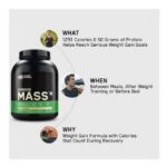 Serious mass - Image 7