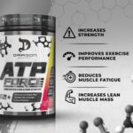 ATP FORCE - Image 3