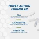 CLA + L-CARNITINE & GREEN TEA - Image 4