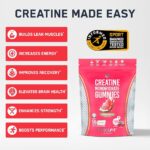 Creatine Monohydrate Gummies - Image 3