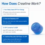 Creatine Monohydrate Gummies - Image 10