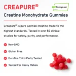 Creatine Monohydrate Gummies - Image 5