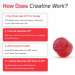 Creatine Monohydrate Gummies - Image 9