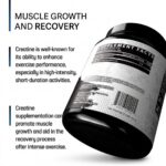 CREATINE MONOHYDRATE - Image 3