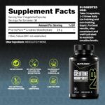Micronized Creatine Monohydrate - Image 3