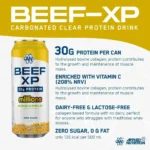 ⁦Beef-XP - Clear Protein Drink⁩ - الصورة ⁦4⁩
